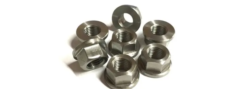 Nuts Manufacturer and Supplier in Mumbai, India